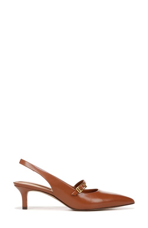Franco Sarto Khloe Slingback Pointed Toe Pump In Brown