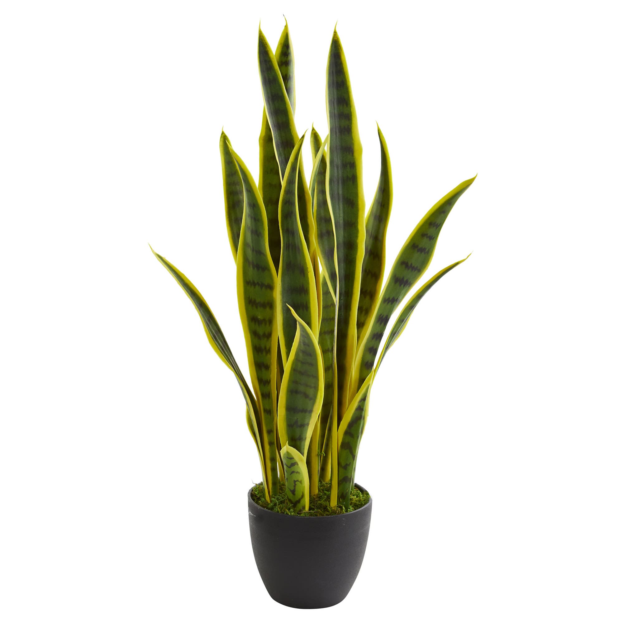 selected Green