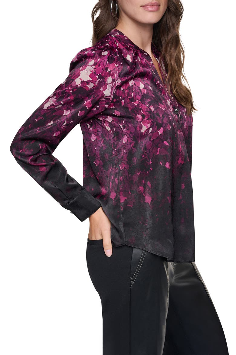 Pleated Long Sleeve Top, Alternate, color, PAILLETTE