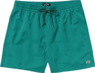 Billabong All Day Layback Swim Trunks