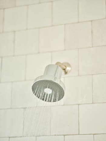 The Jolie Filtered Shower Head