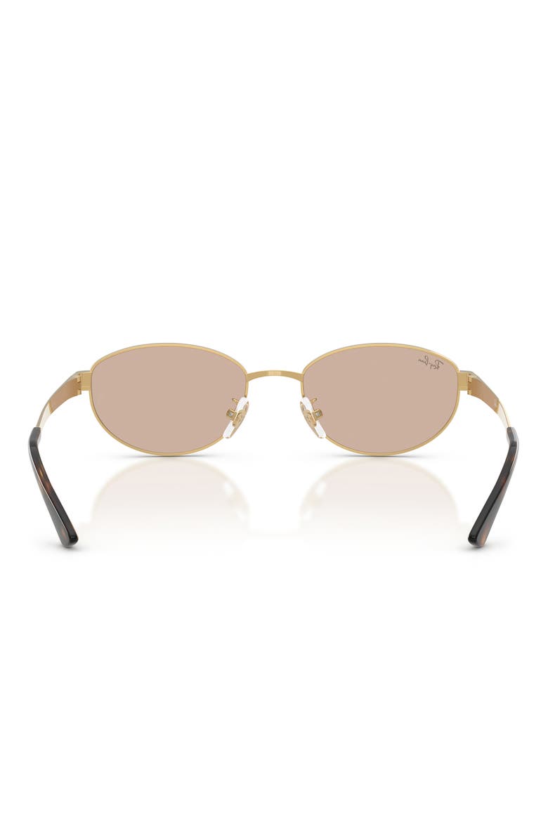 55mm Oval Sunglasses, Alternate, color, ARISTA / LIGHT BROWN