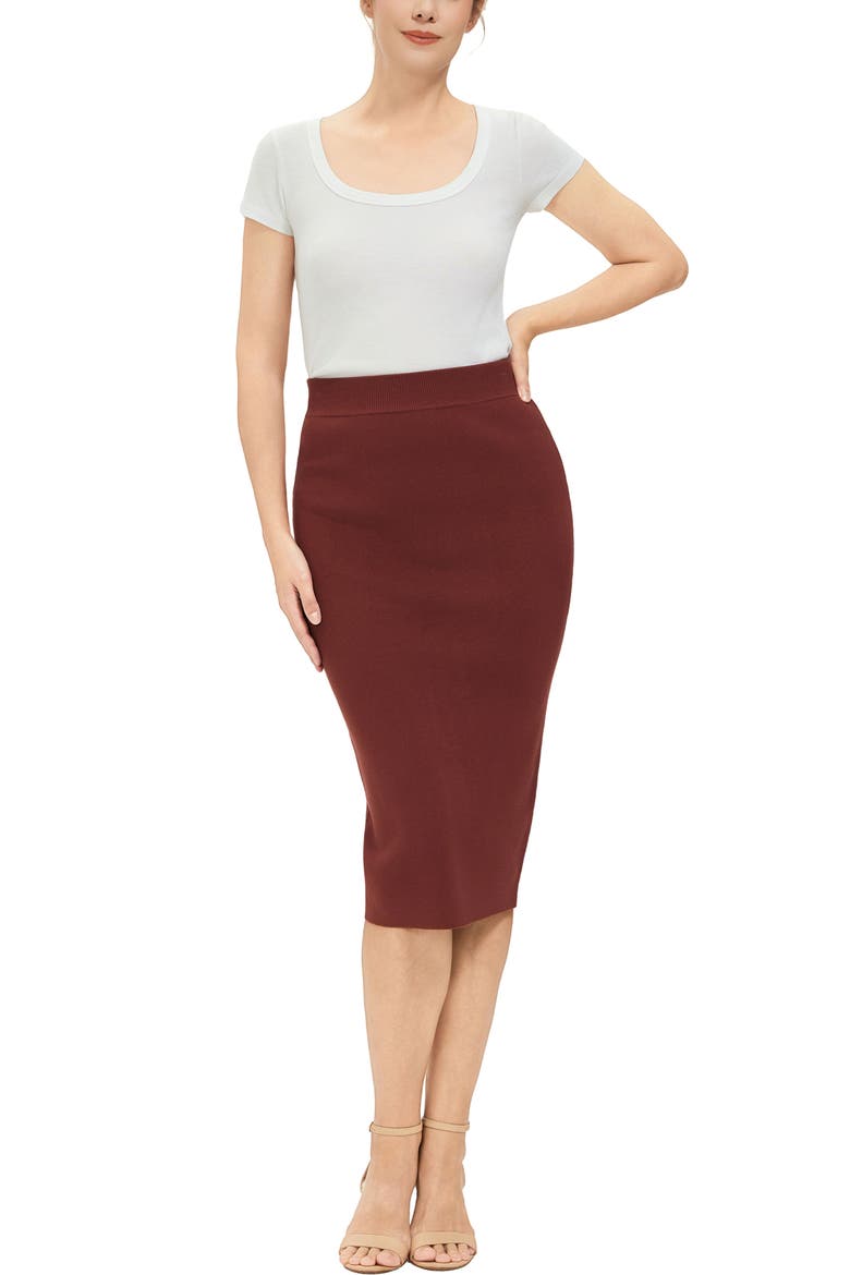 Women's Knit Pencil Skirt, Alternate, color, Copper Red