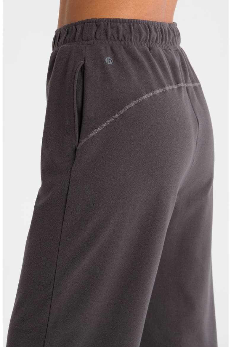 Micro Fleece Joggers, Alternate, color, GREY FORGED