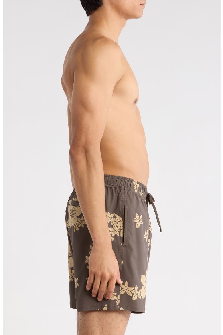 Printed Day Board Shorts, Alternate, color, BARK