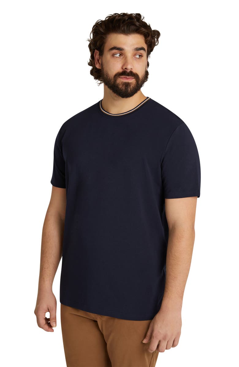 Johnny Bigg Amon Smart Tipped Cotton T-Shirt, Alternate, color,