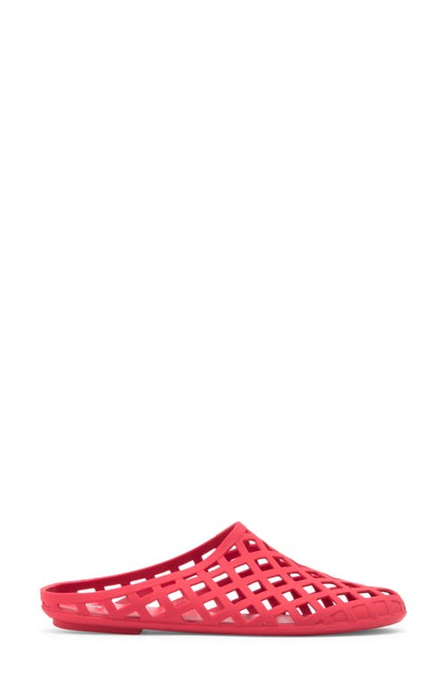 Mia Kandie Jelly Mule