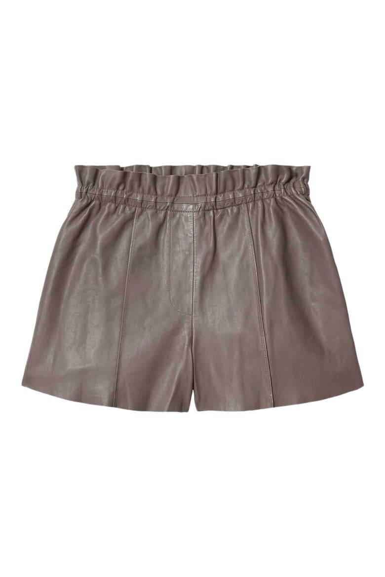 Fran Leather Shorts, Alternate, color, MOLE BROWN