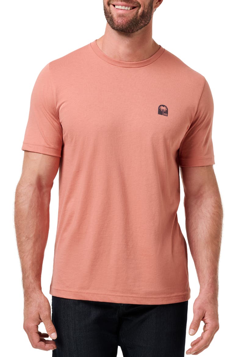 Top Places Embroidered Logo T-Shirt, Main, color, BRICK DUST
