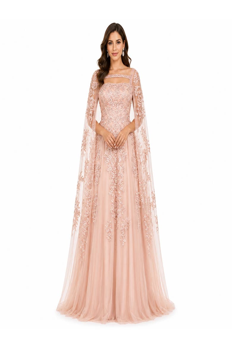 Lace Embroidered Gown with Long Cape Sleeves, Main, color, Blush