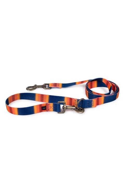 National Park Adventure Leash