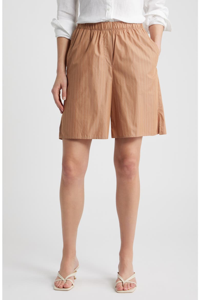 Knee Length Shorts, Main, color, DUNE STRIPE