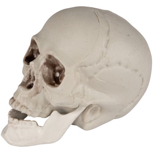 Northlight Skeleton Skulls Halloween Decorations In White
