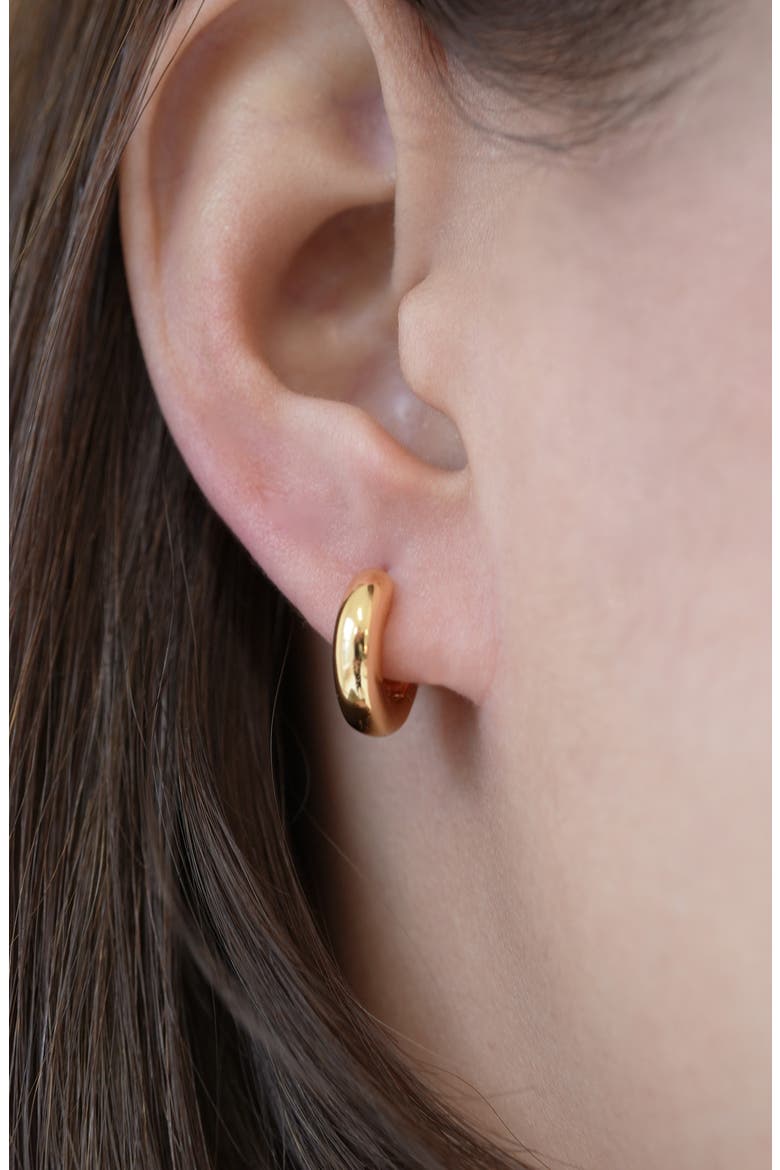 Small Huggie Hoop Earrings, Alternate, color, GOOD