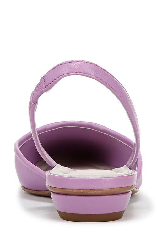 Shop Sarto By Franco Sarto Debbie Slingback Pump In Purple
