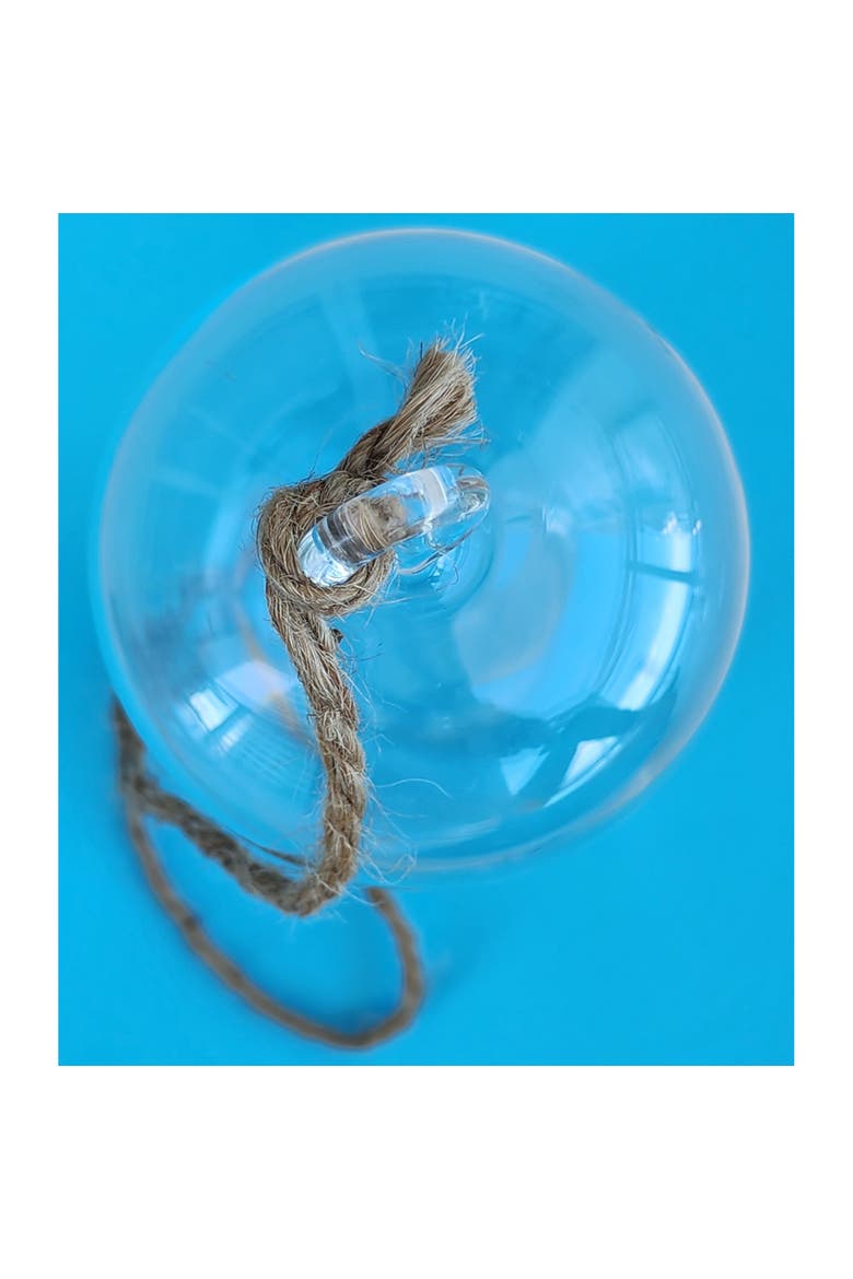 Carefree Capsule Glass Terrarium, 2 Pack, Alternate, color, Clear