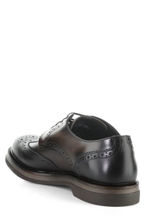 Ambitious Whipstitch Cap Toe Derby In Black