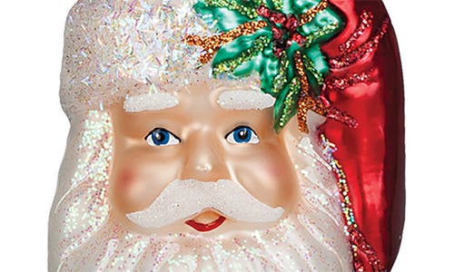 Old World Christmas Nostalgic Santa Glass Ornament In White
