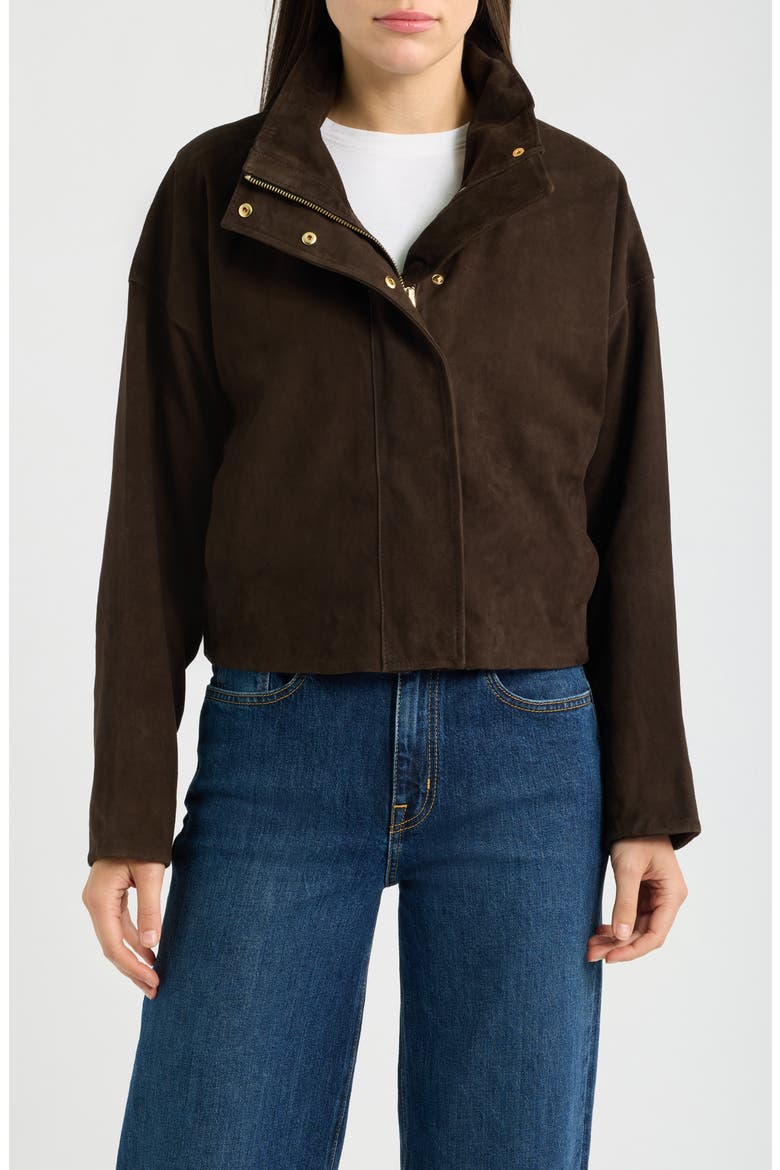Ryder Suede Jacket, Alternate, color, BITTER BROWN