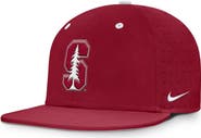 Nike Men's Nike Cardinal Stanford Cardinal On-Field Dugout True Performance Fitted Hat