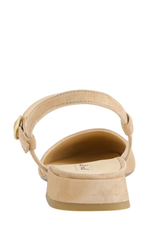 Paul Green Bianca Ankle Strap Pump In Dakar Suede