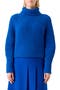 selected Royal Blue