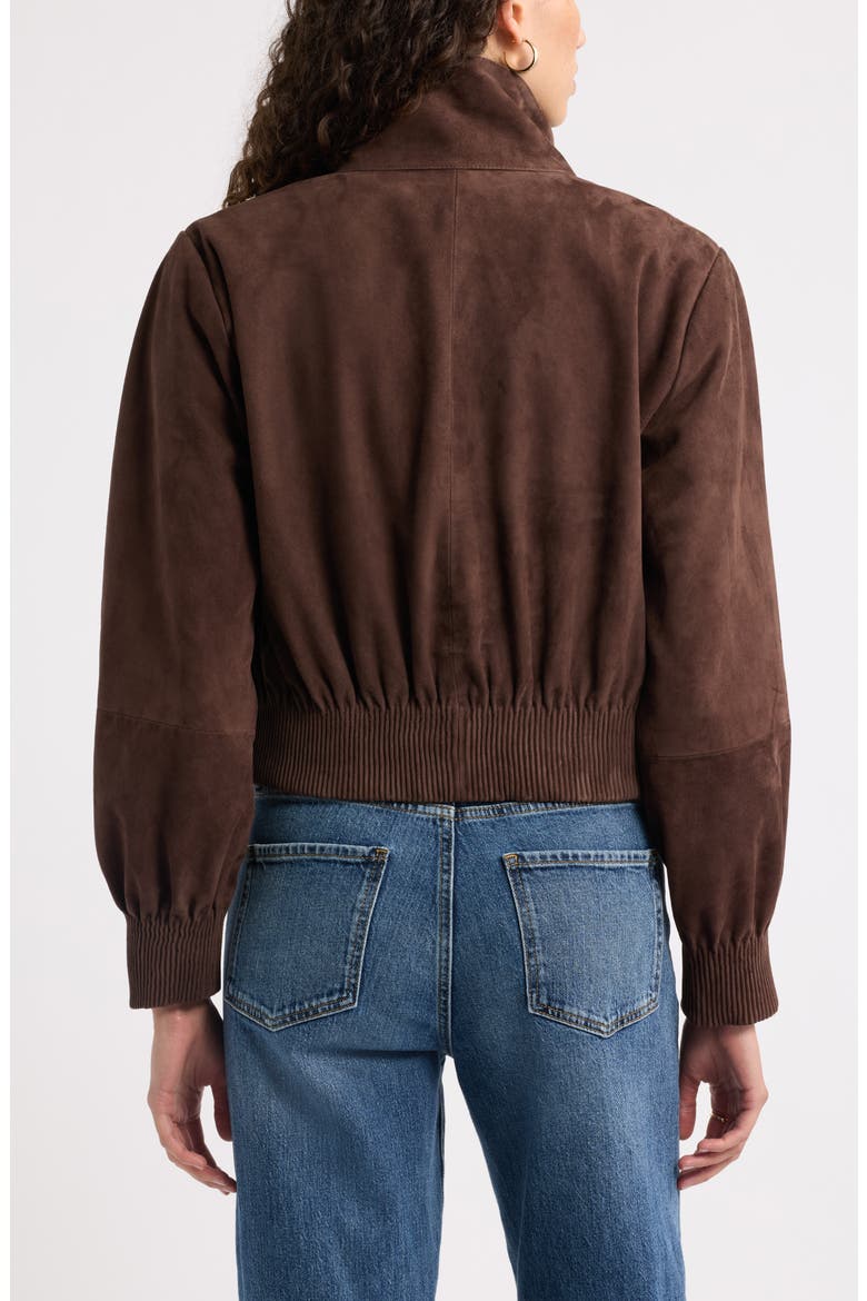 Funnel Neck Suede Bomber Jacket, Alternate, color, BROWN COFFEE