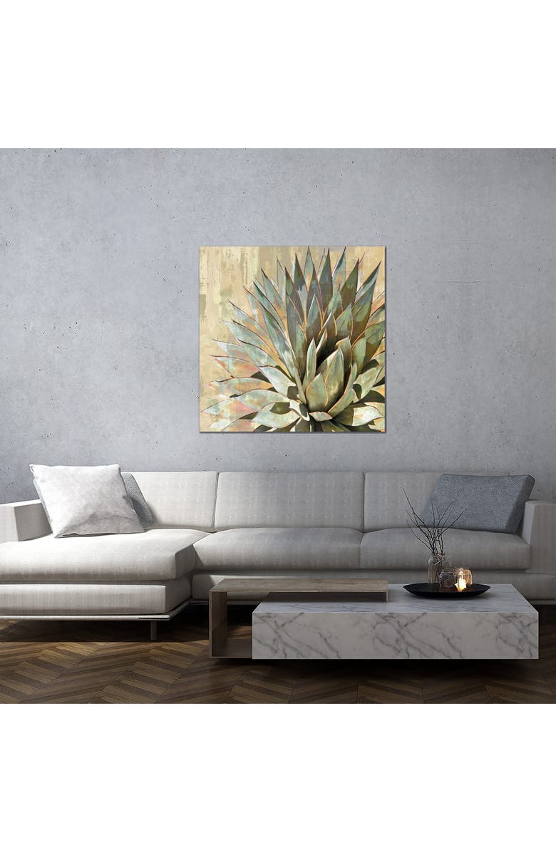 iCanvas Succulent I by Lindsay Benson Canvas Wall Art, Alternate, color, Green Flora