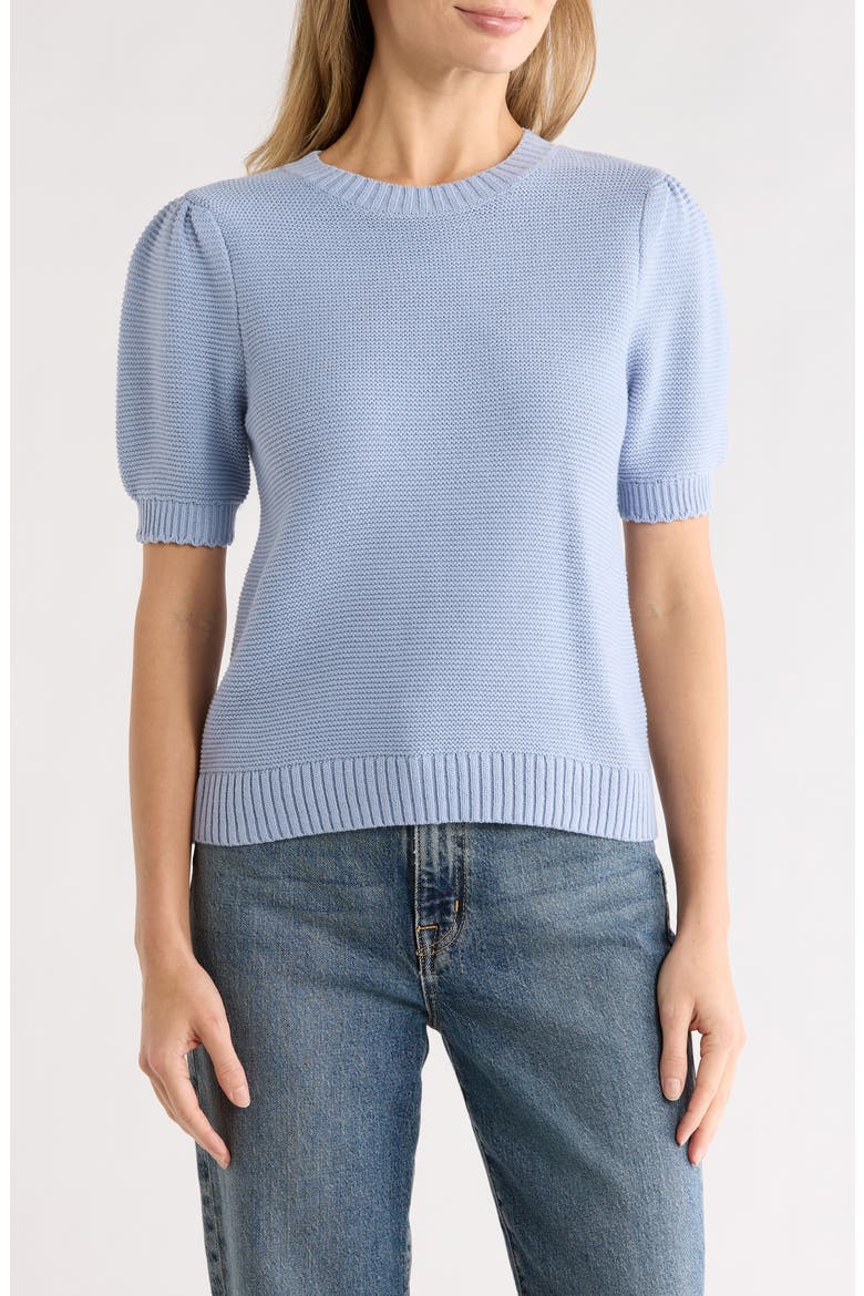 Textured Stitch Short Sleeve Sweater, Main, color, BLUE BLIZZARD