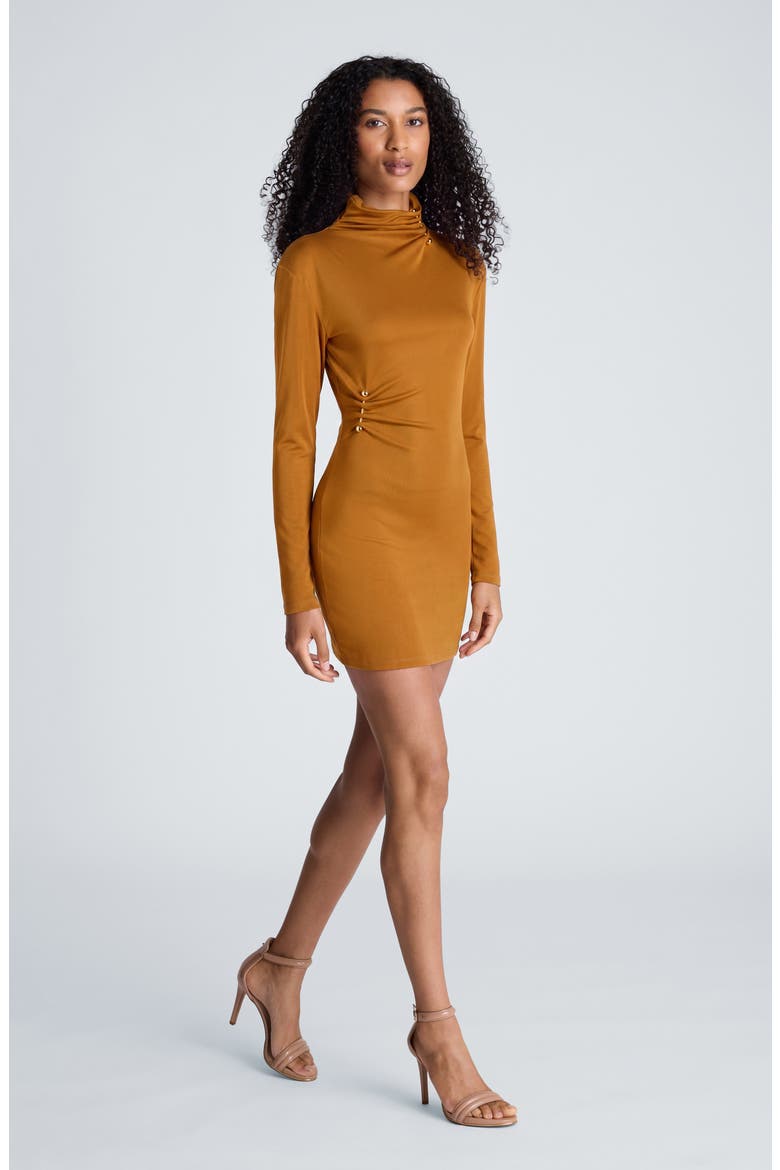 Pin Detail Long Sleeve Minidress, Alternate, color, MAPLE