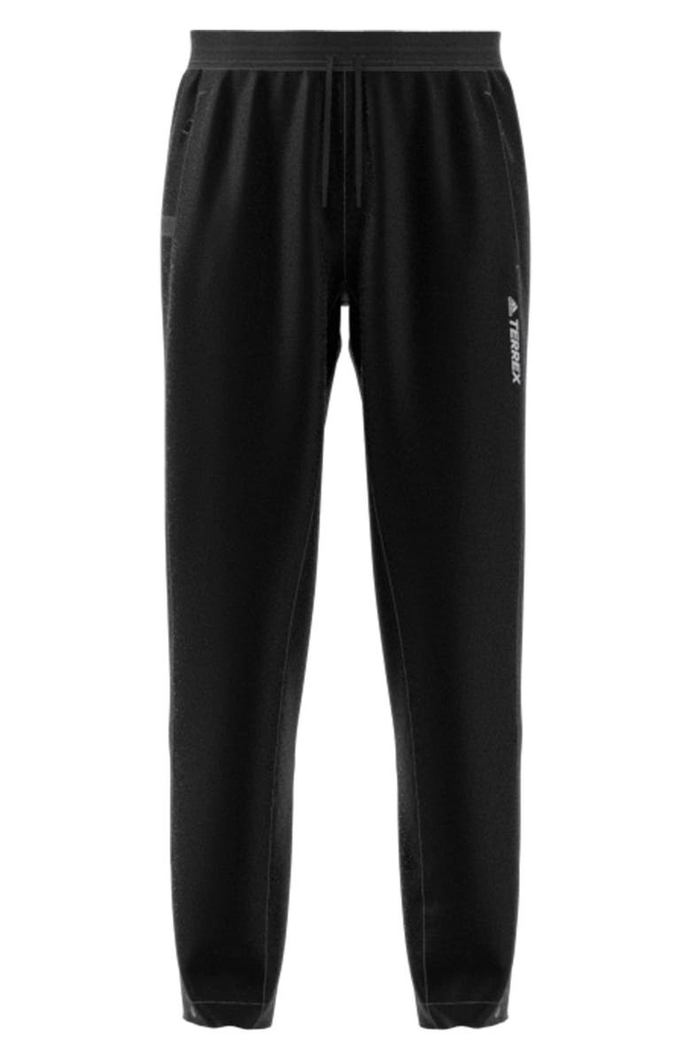 adidas Terrex Liteflex Water Repellent Hiking Pants, Alternate, color,