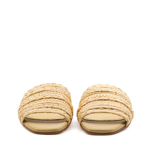 Andrea Gomez Denisse Raffia Slide Flat In Brown