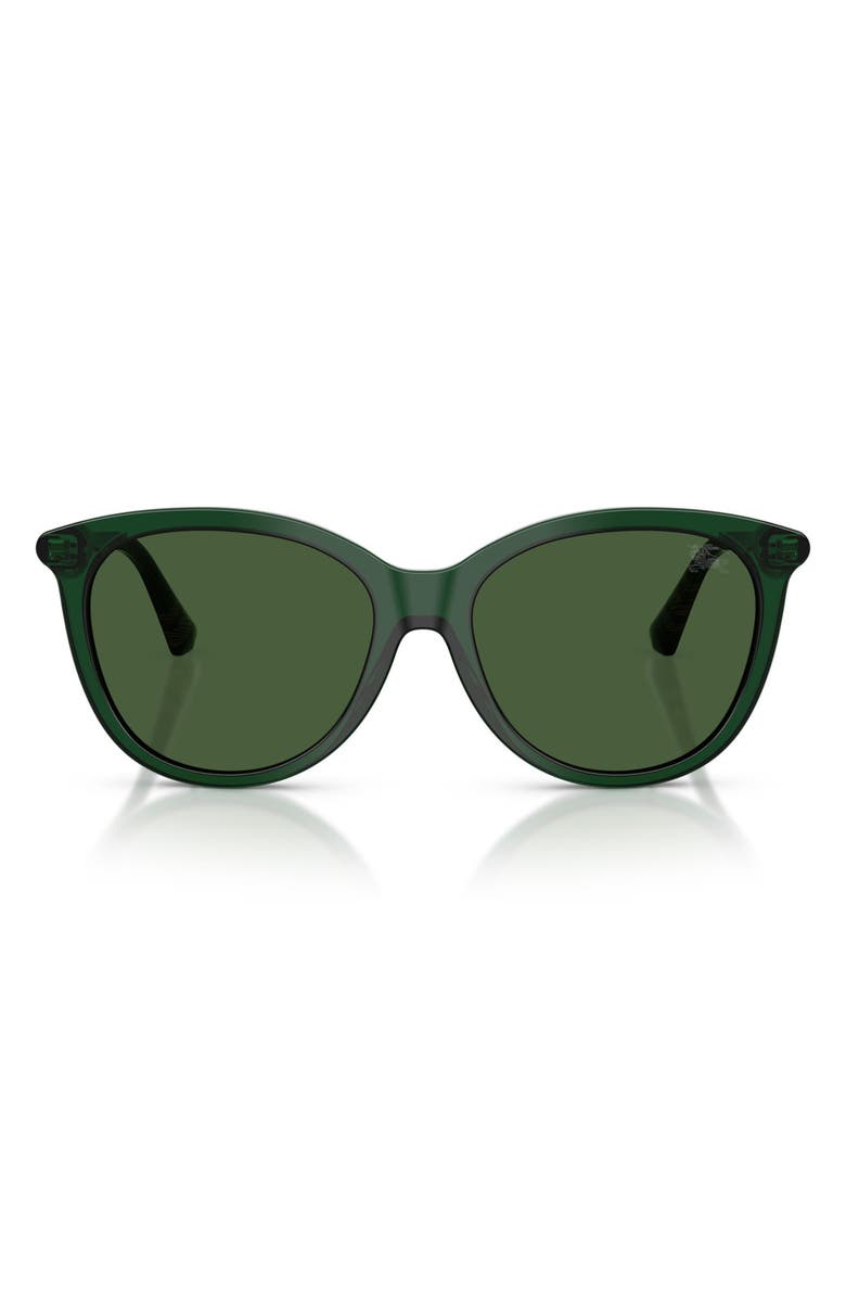 Burberry 55mm Phantos Sunglasses, Main, color, Green