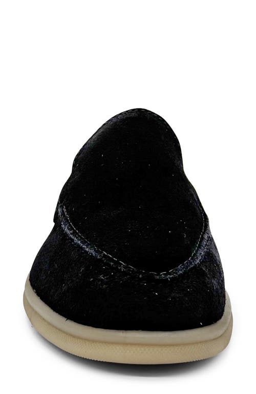 Chelsea Crew Lama Suede Loafer