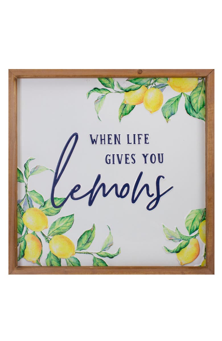 Northlight 16" Wooden Framed "When Life Gives you Lemons" Metal Sign Spring Wall Decor, Main, color, White