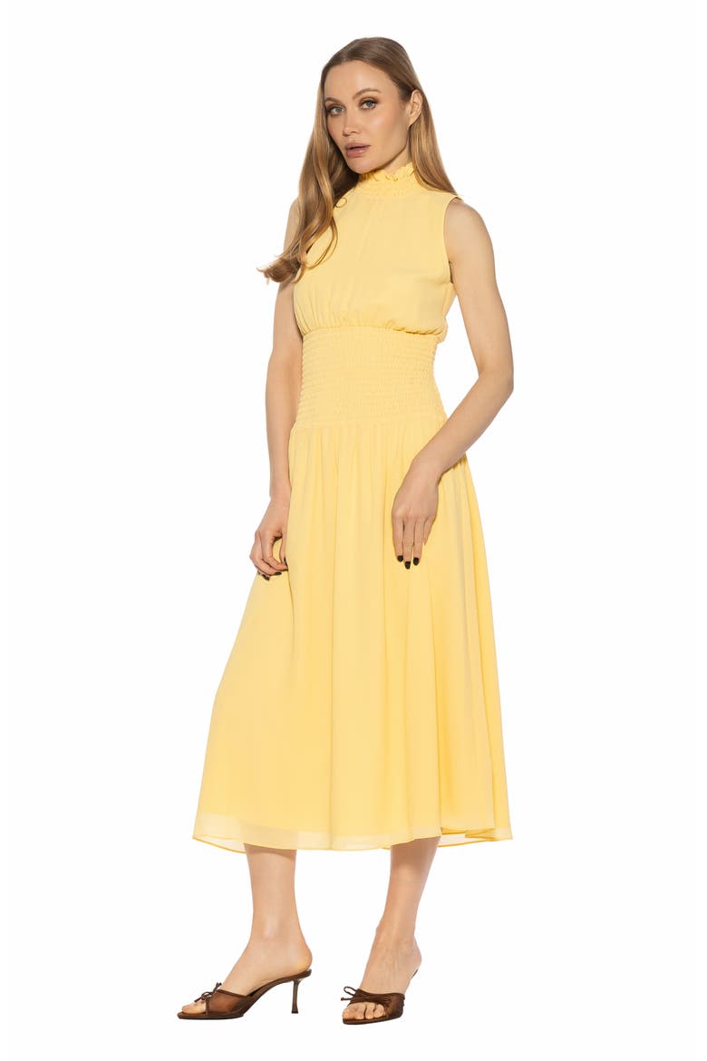 Noor Smocked Neck Midi Dress, Alternate, color, BUTTER YELLOW