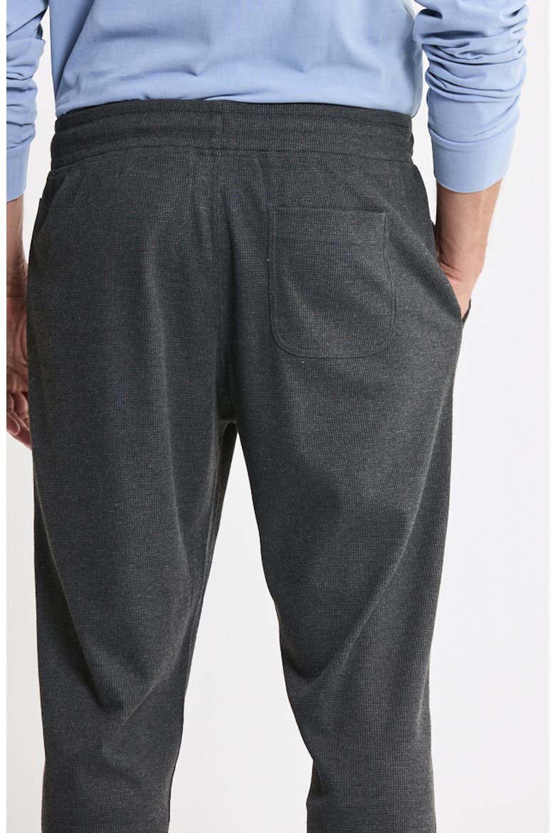Brushed Waffle Jogger Pants, Alternate, color, CHARCOAL