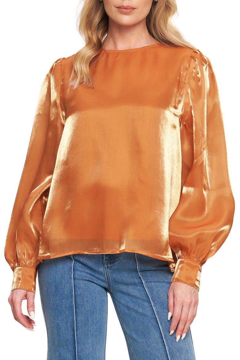 Sheen Long Sleeve Top, Main, color, BRONZE