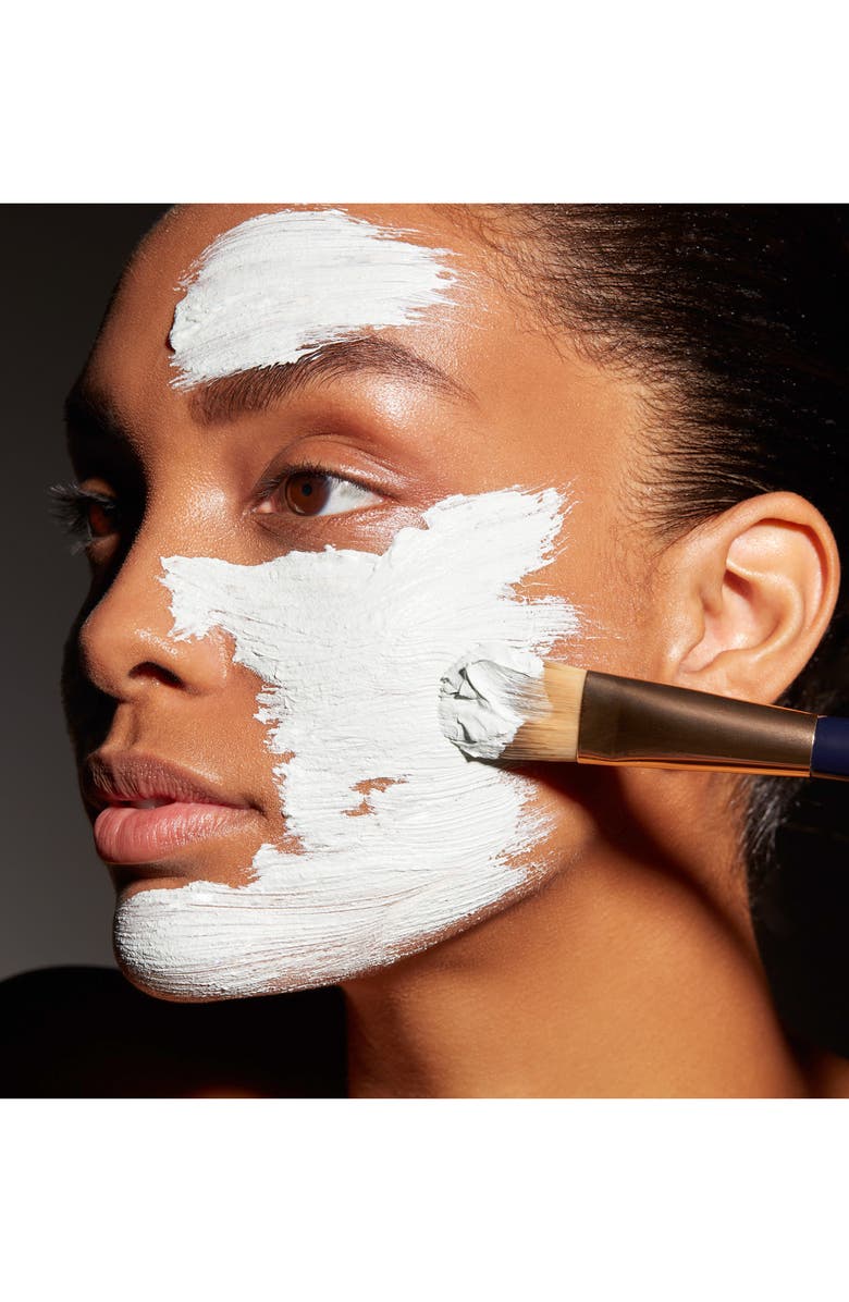 Estée Lauder 'Clear Difference' Purifying Exfoliating Mask, Alternate, color,