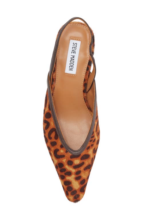 Steve Madden Haleigh Slingback Pump In Leopard Calf Hair