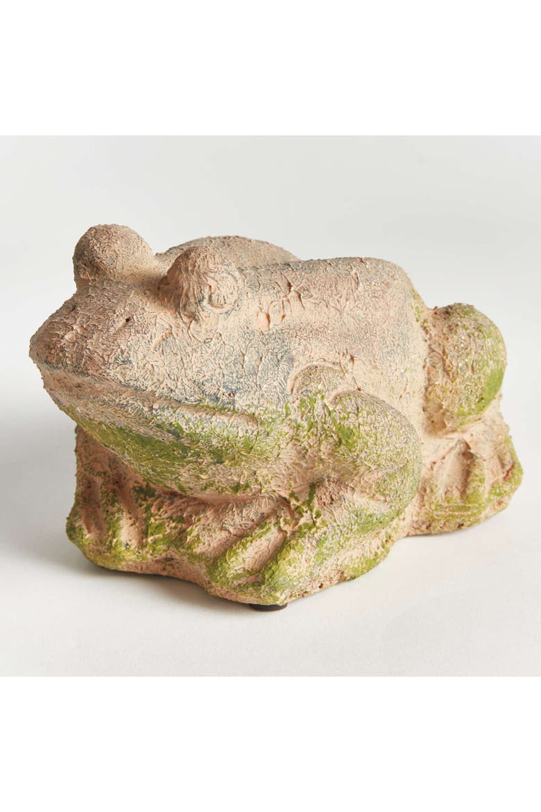 Weathered Garden Frog, Alternate, color, Brown