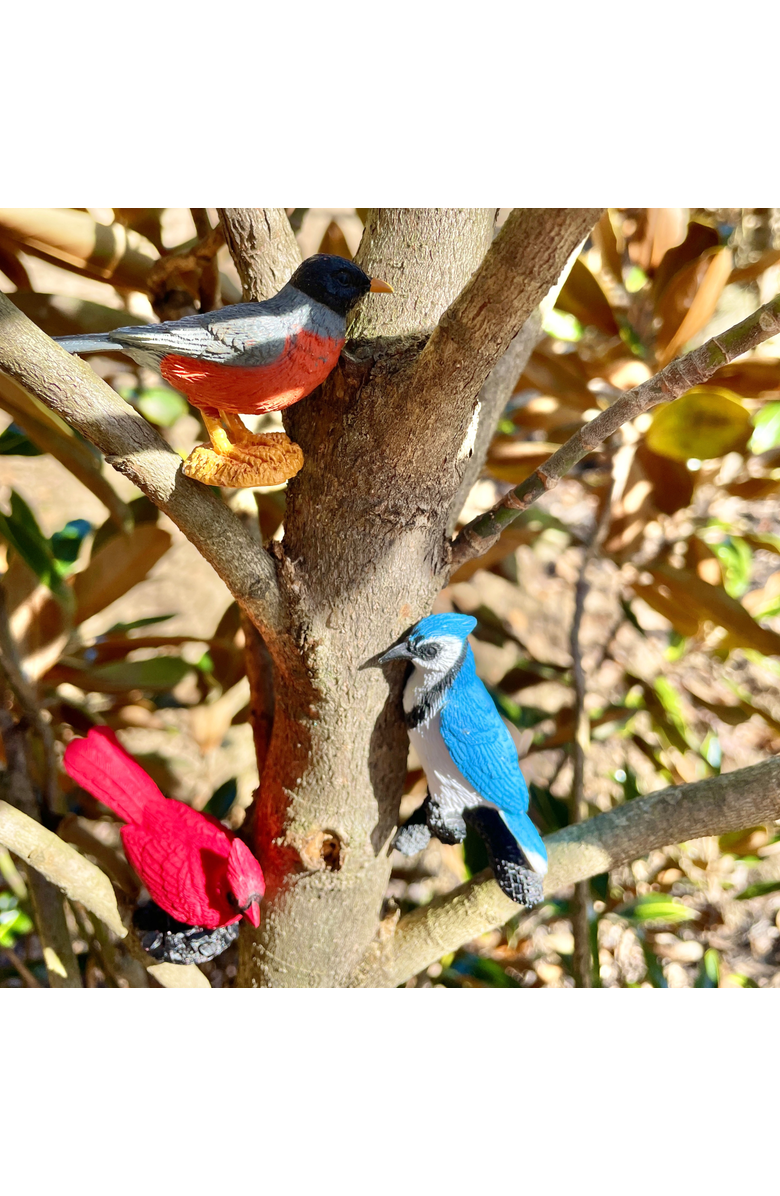 Safari Ltd. Backyard Birds Toy, Alternate, color, NO COLOR