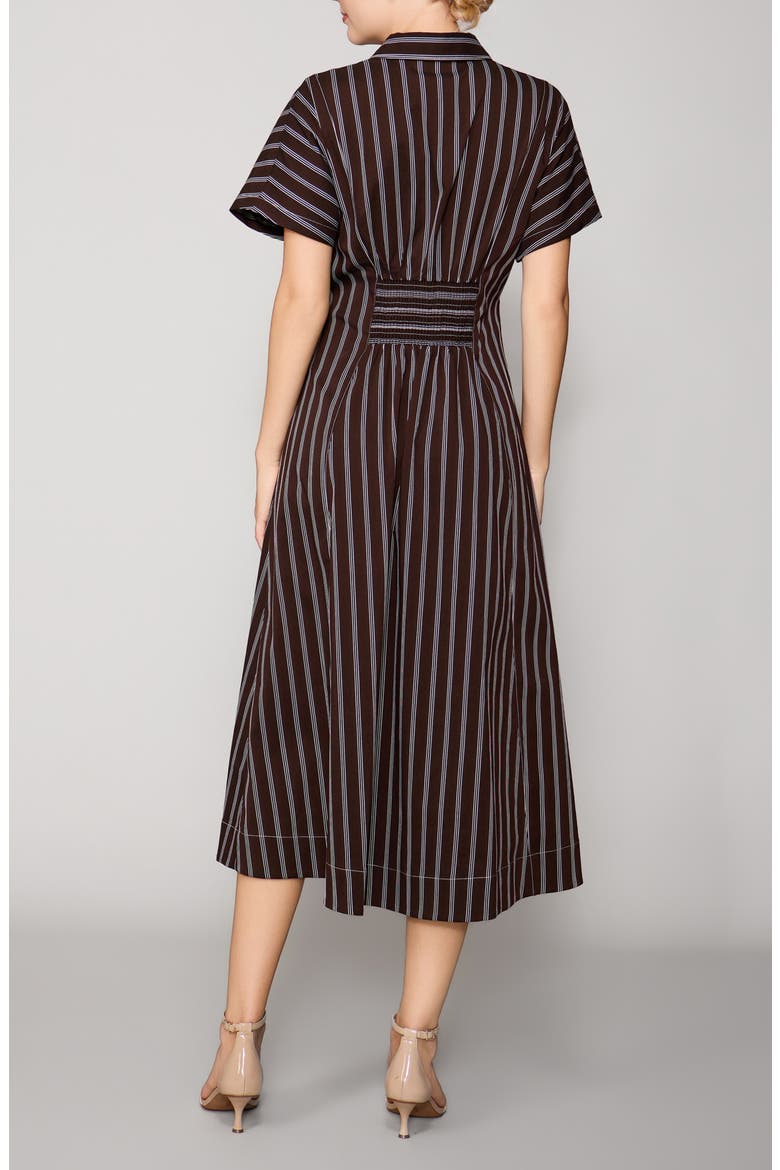 Contrast Stitch Midi Shirtdress, Alternate, color, BROWN STRIPE