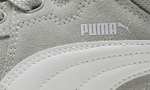 Puma Park Lifestyle Sk8 Sneakers Unisex In Gray