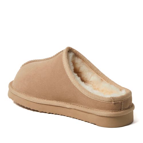 Dearfoams Fireside Greta Genuine Shearling Clog Slipper In Neutral