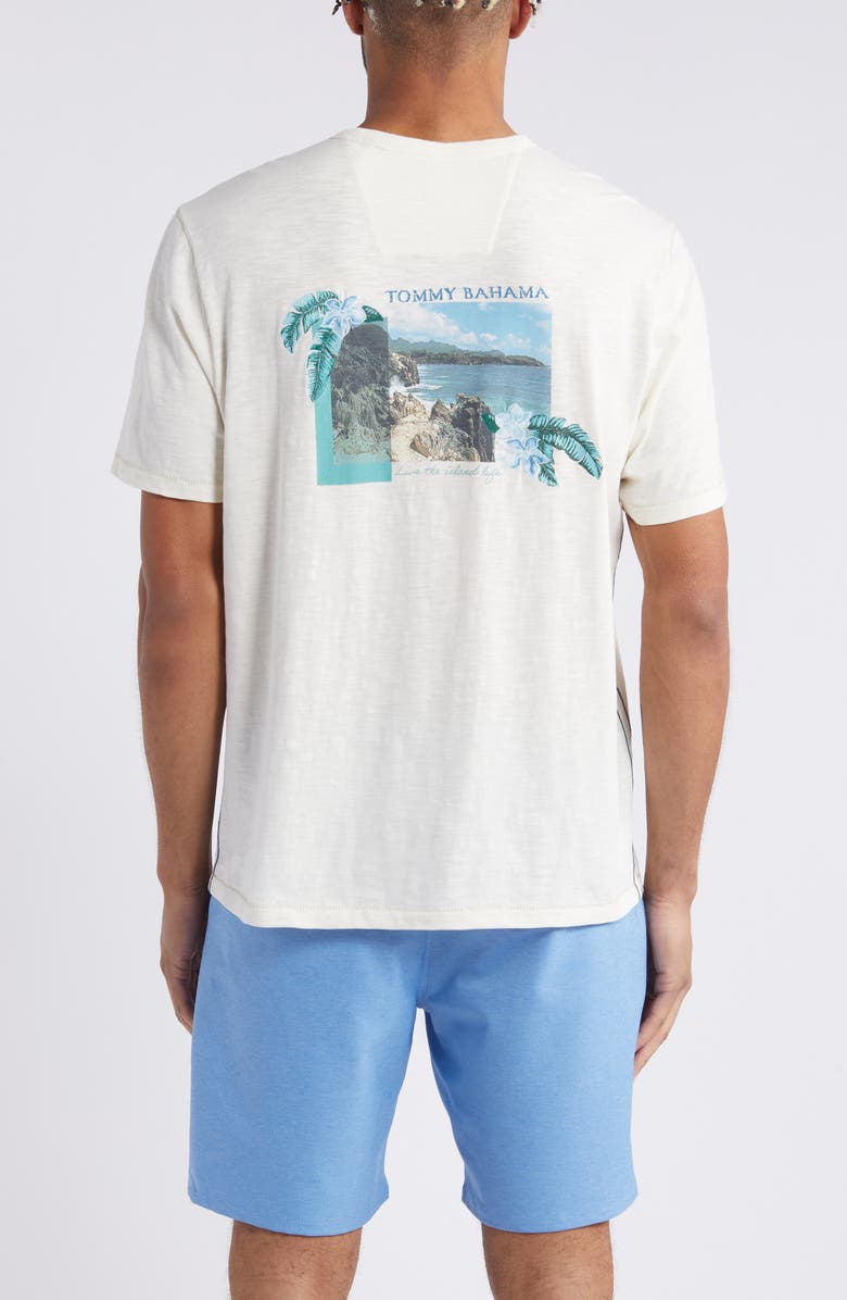 Tommy Bahama Cliffside Shores Lux Organic Cotton Graphic T-Shirt, Alternate, color, 