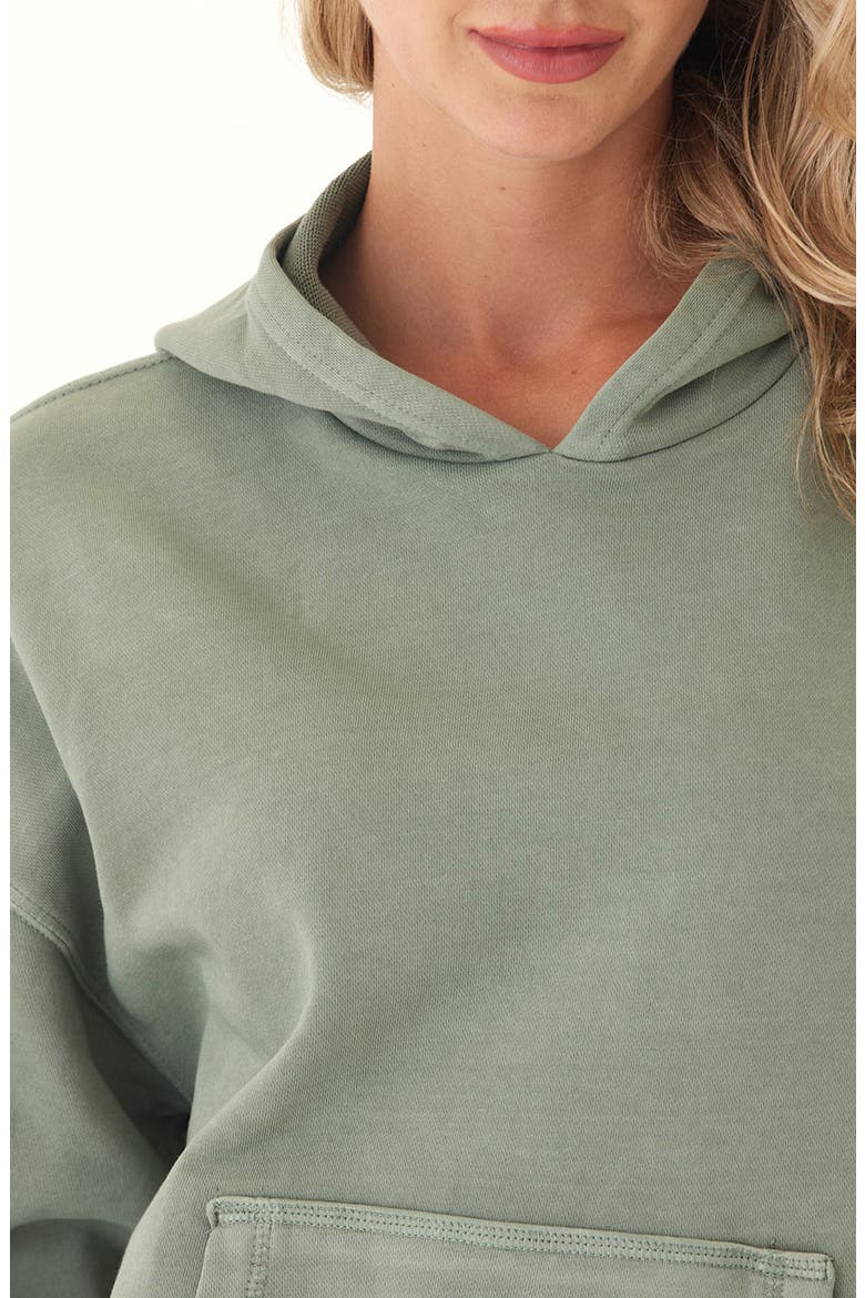 Tanya Mineral Wash Cotton Blend Fleece Hoodie, Alternate, color, WASABI