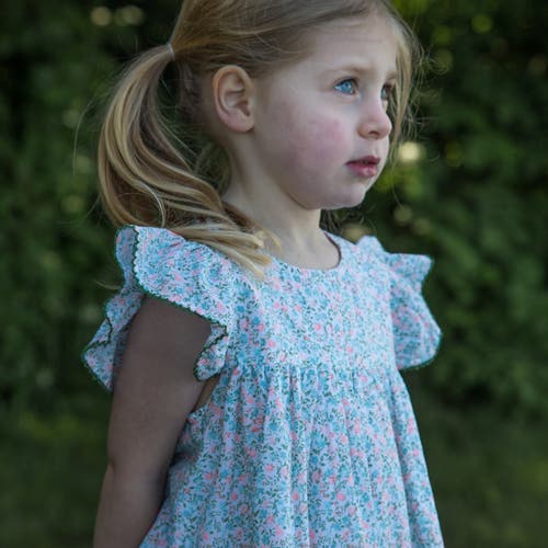 Beet World Girls Hannah Dress With Flutter Sleeves In Pastel Green And Peach