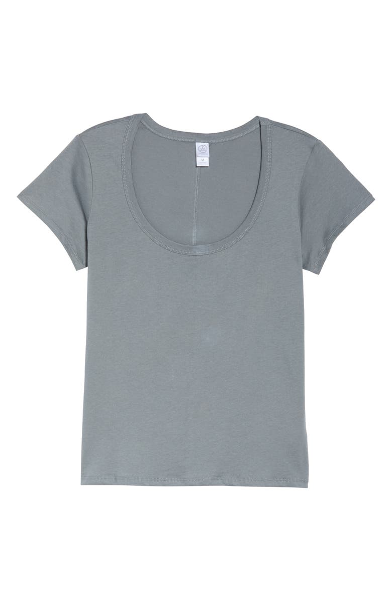 Alternative Organic Cotton T-Shirt, Alternate, color, 