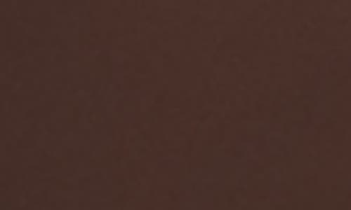 Skims Fits Everybody High Waist Thong In Brown